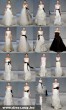 Vera Wang menyasszonyi ruha kollekciója